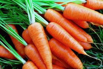 Фотография к новости: Морковь за 800 тенге в Актау: поставщик опроверг рост цен