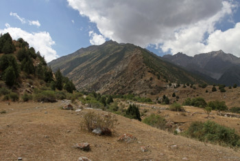 Фотография к новости: Трех заблудившихся подростков нашли в горах Туркестанской области
