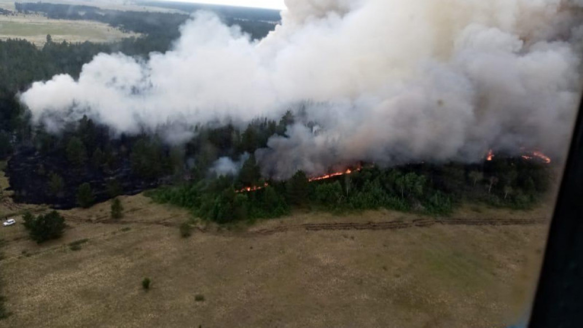 Лесной пожар в Павлодарской области потушили сотрудники МЧС