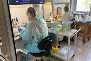 Фотография к новости: 1148 новых случаев COVID-19 выявили за сутки в Казахстане