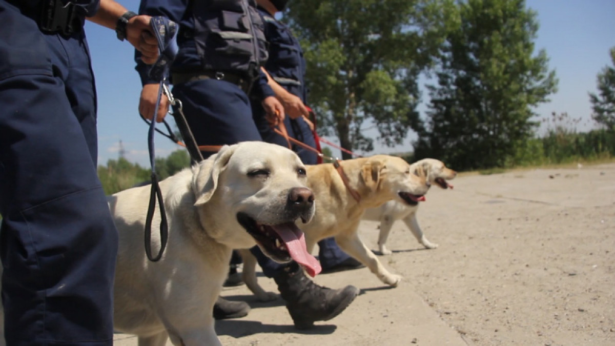 пресс-служба ДЧС ВКО