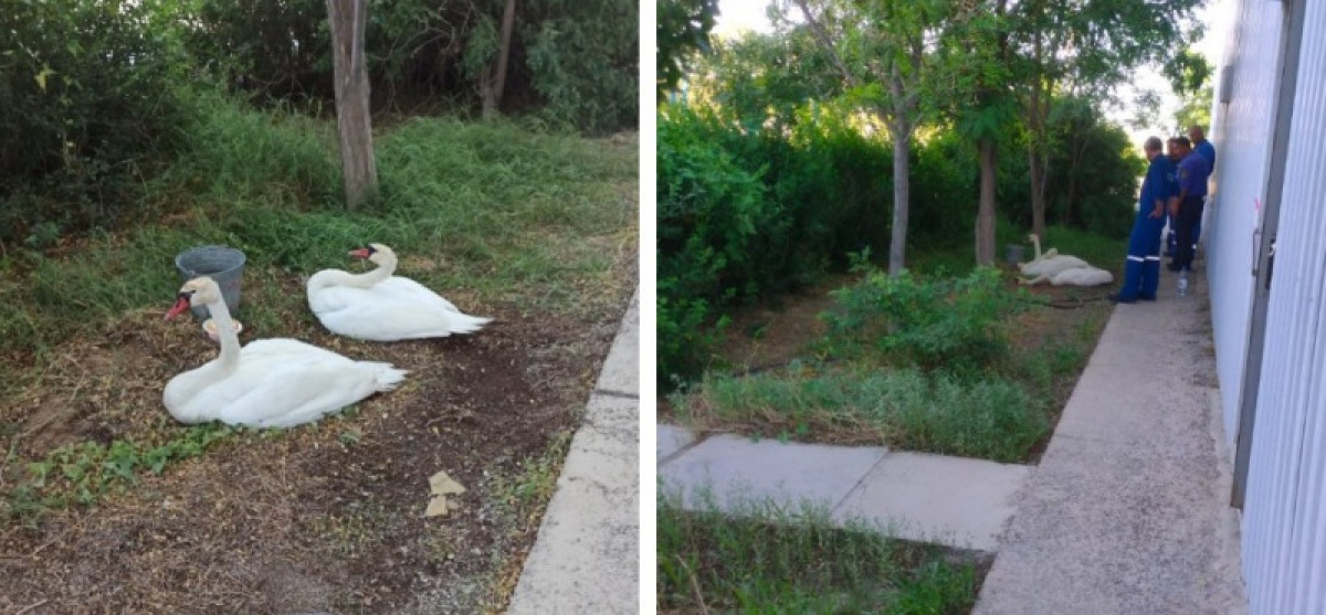 Дмитрий Казанцев