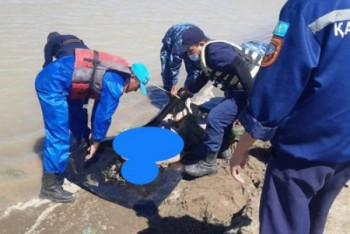 Фотография к новости: Мертвой обнаружена пропавшая в Кызылорде девочка