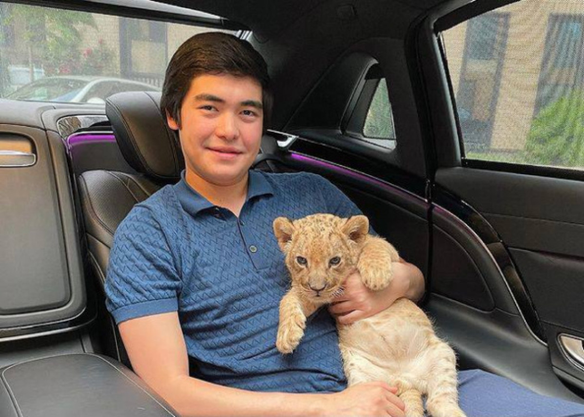 Уголовное дело могут завести из-за фото брата Айжан Байзаковой со львенком