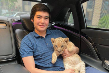 Фотография к новости: Уголовное дело могут завести из-за фото брата Айжан Байзаковой со львенком