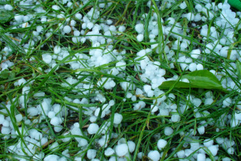 Фотография к новости: Град и ветер ожидаются в ряде областей Казахстана