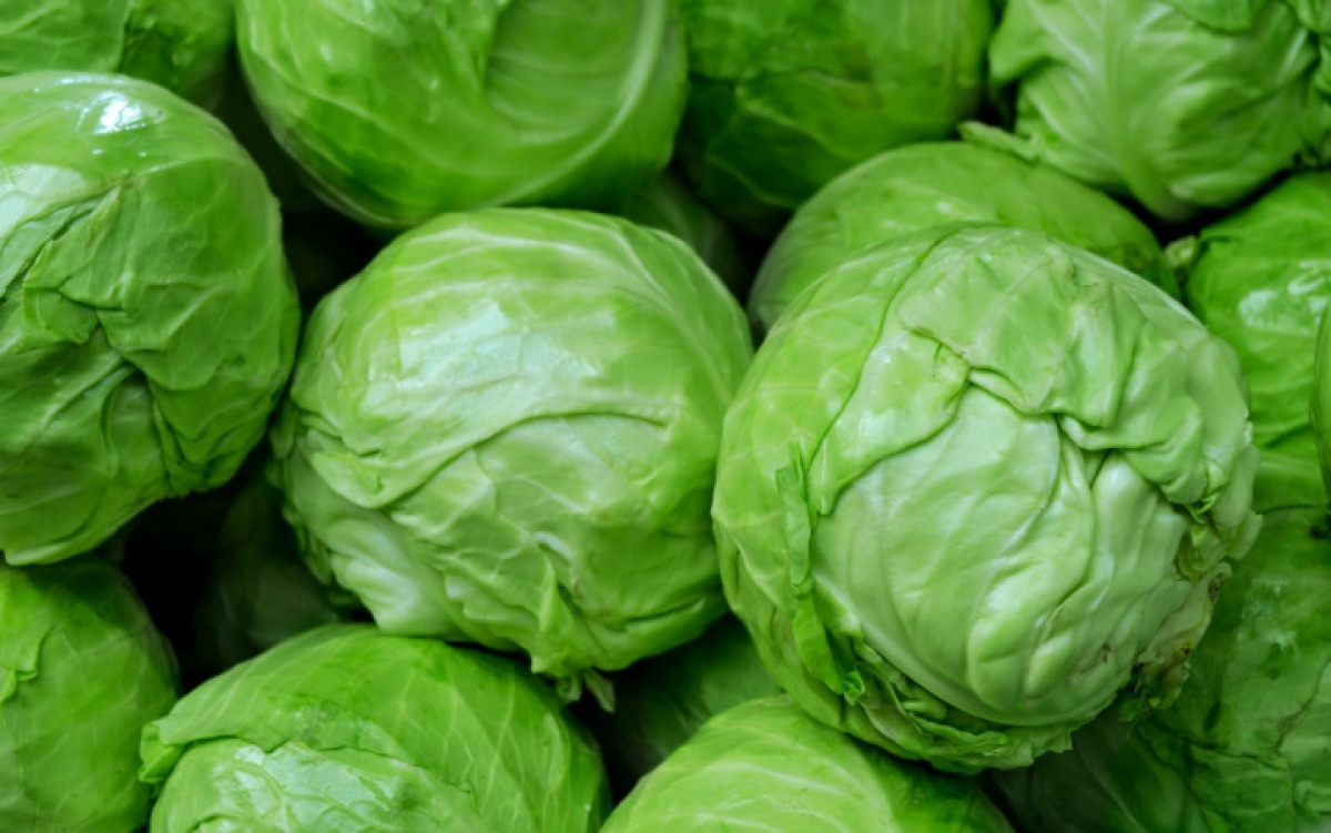 Предельные цены установят на капусту в Алматы - Сагинтаев