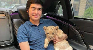&quot;В конце концов львенок сидит в Maybach&quot; - Айжан Байзакова о скандальном фото