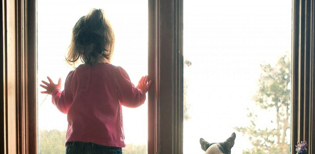 иллюстративное