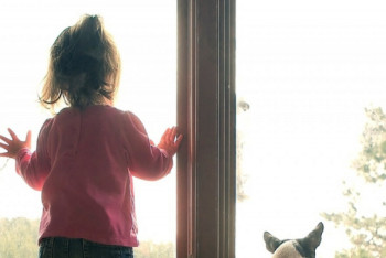 Фотография к новости: Трехлетний ребенок оперся на москитную сетку и выпал из окна в ВКО