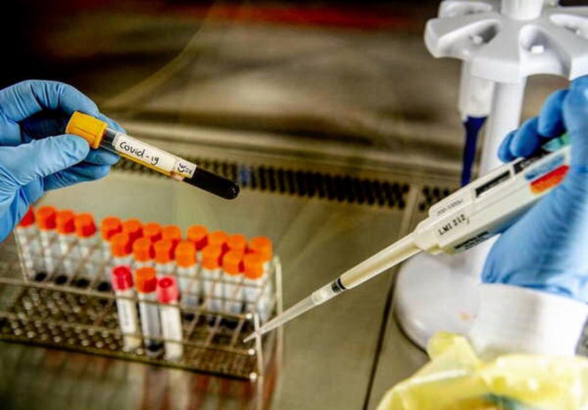 иллюстративное