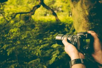 Фотография к новости: Фото спящего детеныша косули удалось сделать павлодарским лесничим