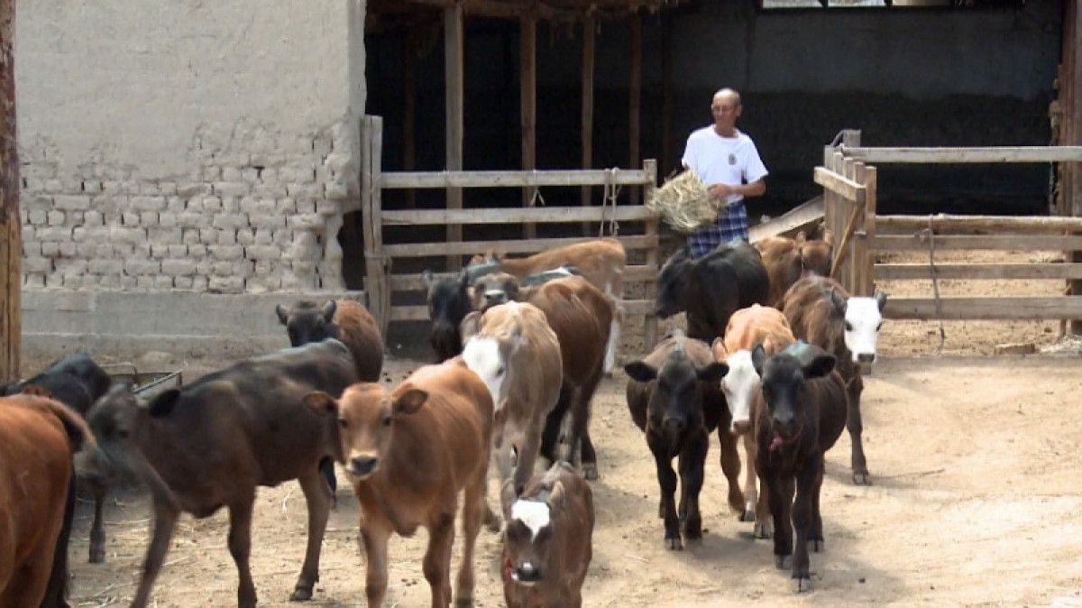 &quot;Хабар 24&quot;