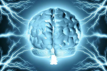 Фотография к новости: Зафиксирован неизвестный тип сигнала в головном мозге человека