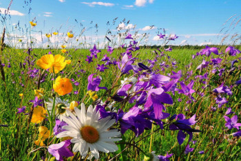 Фотография к новости: Жаркая погода ожидает казахстанцев в июле