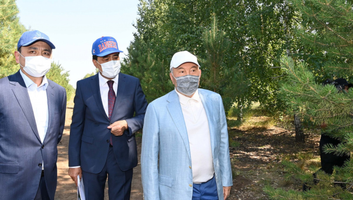 Елбасы поддержал инициативу Токаева по высадке двух миллиардов деревьев