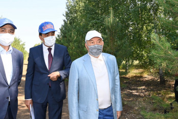 Фотография к новости: Елбасы поддержал инициативу Токаева по высадке двух миллиардов деревьев