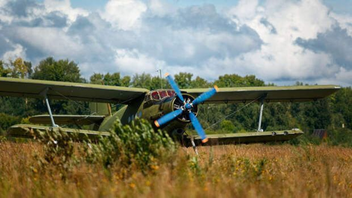 иллюстративное