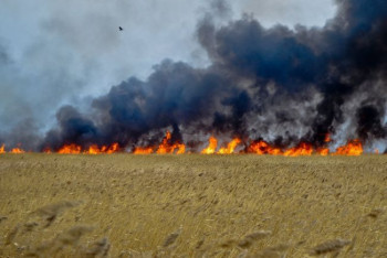 Фотография к новости: Режим ЧС объявлен в трех сельских округах Карагандинской области