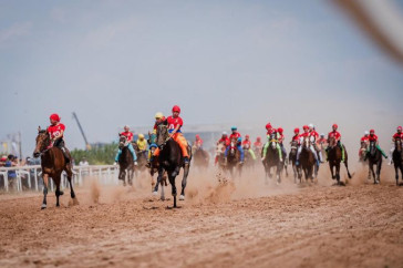 Фотография к новости: Определились победители турнира по байге на Кубок Елбасы