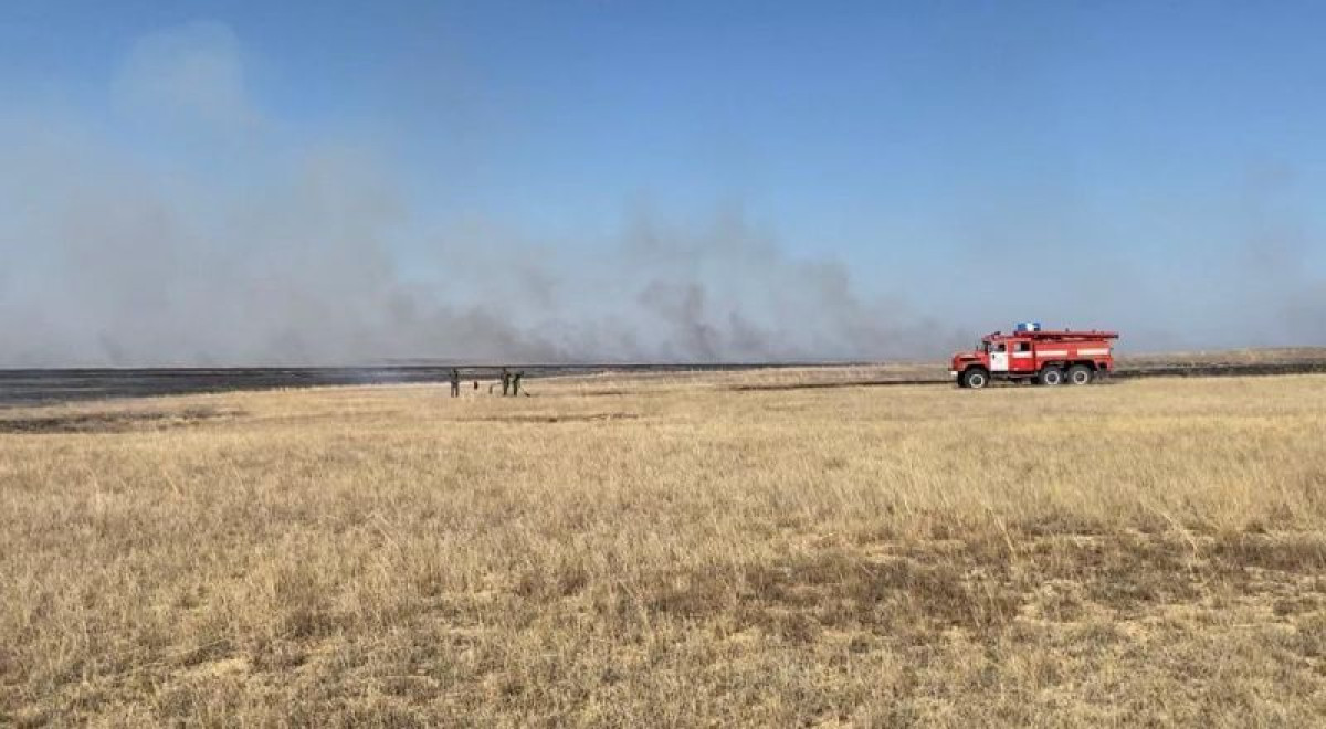 facebook/Jenis Qasymbek