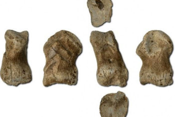 Фотография к новости: Ученые нашли самую древнюю неандертальскую статуэтку