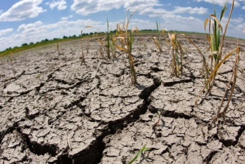 Фотография к новости: Экстремально засушливые условия ожидаются в Казахстане в июле