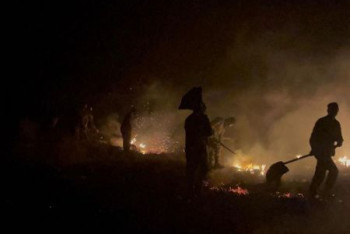 Фотография к новости: Степной пожар в Карагандинской области: фермер лишился более 300 голов скота