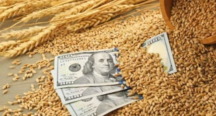 Форвардные закупки продуктов не используются акимами — Токаев