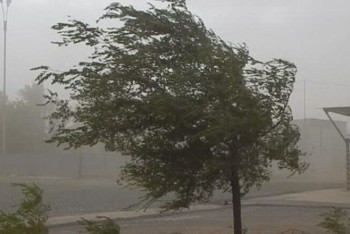 Фотография к новости: В столице и регионах Казахстана объявлено штормовое предупреждение