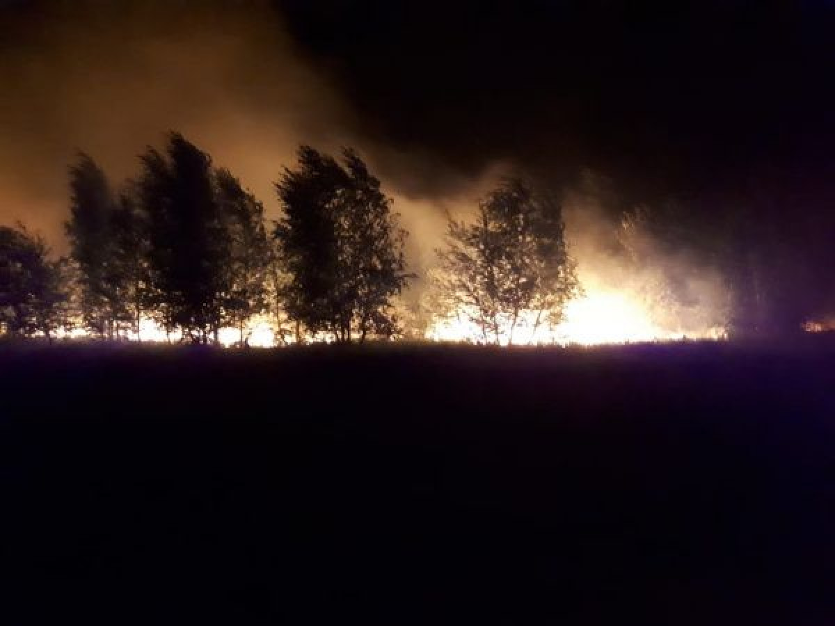 Крупный лесной пожар потушили на третьи сутки в Костанайской области