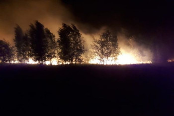 Фотография к новости: Крупный лесной пожар потушили на третьи сутки в Костанайской области