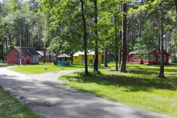 Фотография к новости: Как в Акмолинской области будет организован детский отдых