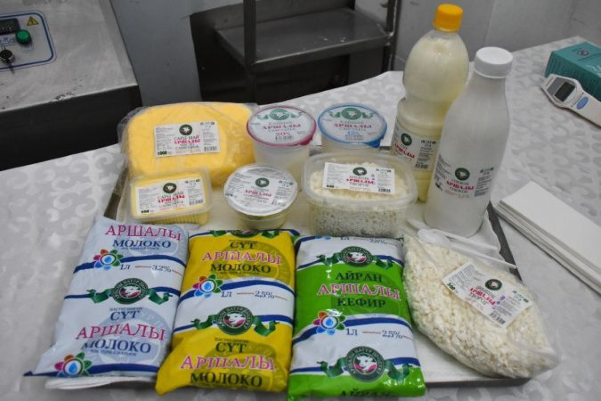 В рамках развития продовольственного пояса вокруг столицы в Акмолинской области будет реализовано 50 проектов