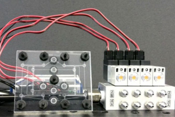 Фотография к новости: Мягкие роботы получили работающую с помощью воздуха память