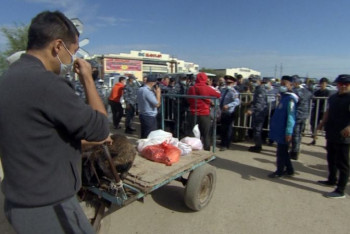 Фотография к новости: На скотные рынки Нур-Султана заходят без системы Ashyq