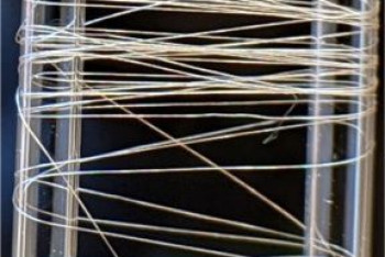 Фотография к новости: Ученые создали искусственный шелк, который прочнее стали и кевлара