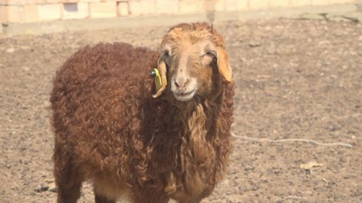 &quot;Хабар 24&quot;