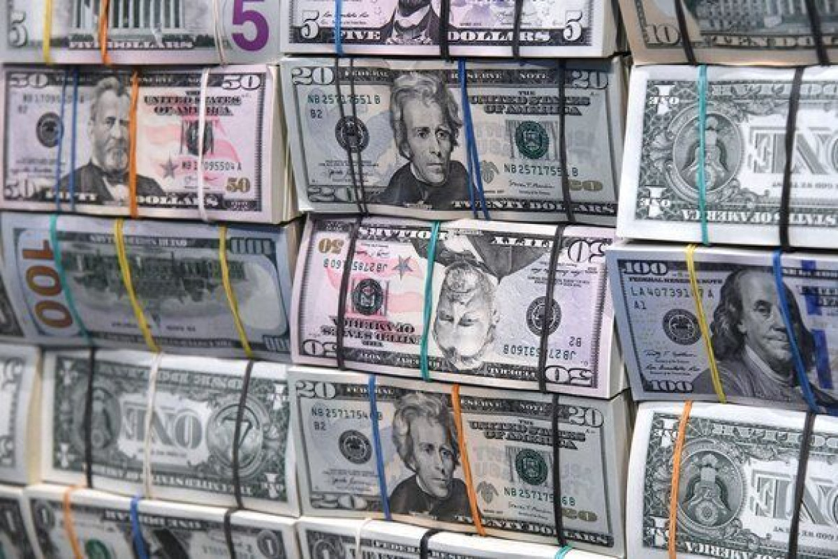 Москва 24/Антон Великжани 