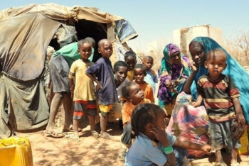 Фотография к новости: В мире голодают 800 миллионов человек - ООН