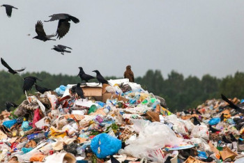 Фотография к новости: Почти пять тысяч несанкционированных свалок выявлено в РК