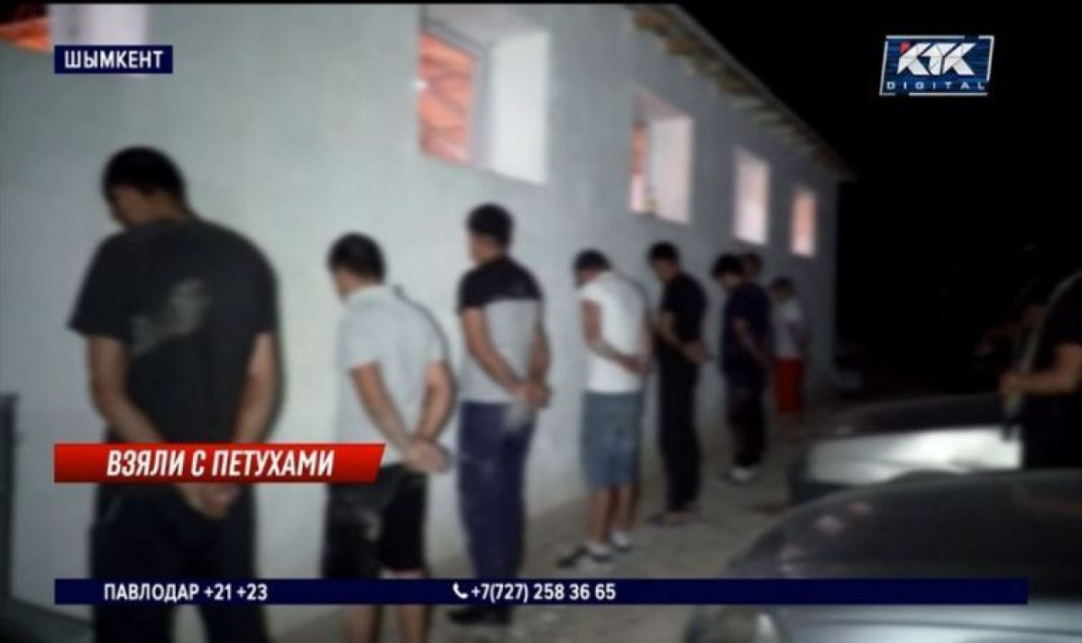 кадр из видео 