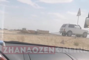 Фотография к новости: Лошадь привязали к машине и тащили по асфальту в Мангистау. Полиция ищет водителя