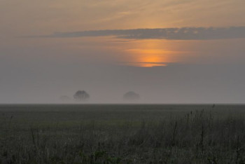 Фотография к новости: Грозы и туман ожидаются в Казахстане