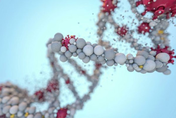 Фотография к новости: Коронавирус не вносит изменения в ДНК человека