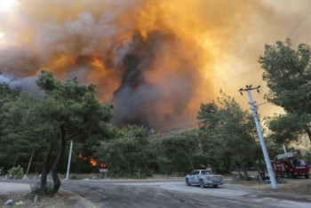 Фотография к новости: Эрдоган объявил зоной бедствия пострадавшие от пожаров регионы Турции
