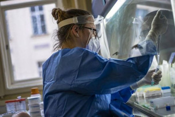 Фотография к новости: Ученые нашли причины появления новых штаммов COVID