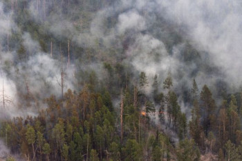 Фотография к новости: От дыма лесных пожаров в якутском селе исчезло солнце