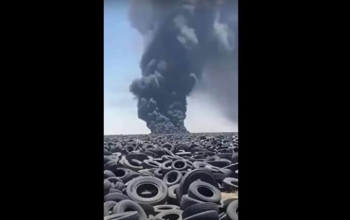 кадр из видео 