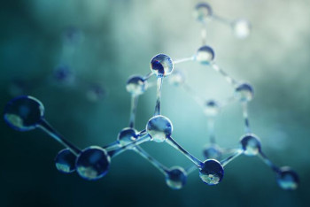 Фотография к новости: Открылся первый в мире центр психоделической медицины